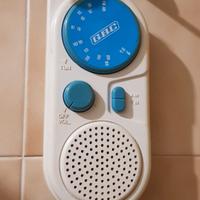 Radio GBC a batteria