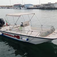 Boston Whaler 17 refittato