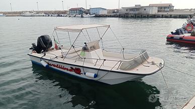 Boston Whaler 17 refittato