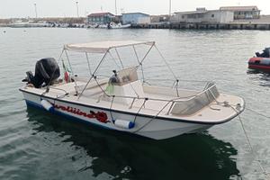 Boston Whaler 17 refittato