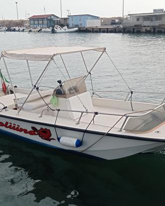 Boston Whaler 17 refittato