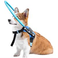 Pettorina con anello per cani ciechi