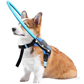 Pettorina con anello per cani ciechi