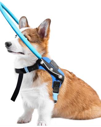 Pettorina con anello per cani ciechi