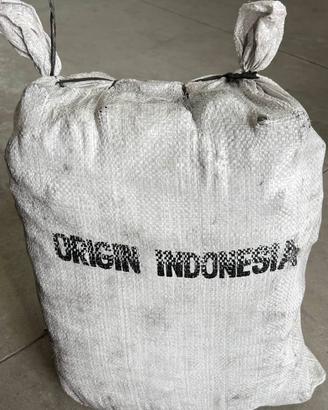 Carbone indonesiano