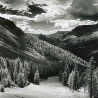 Fotografia Infrarosso Dolomiti Col Verde 21X30