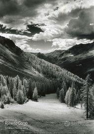 Fotografia Infrarosso Dolomiti Col Verde 21X30