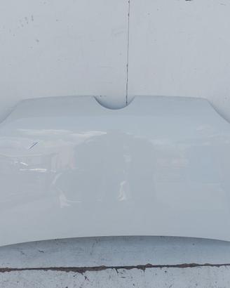 1S0823031C COFANO ANTERIORE VOLKSWAGEN UP! (12) 1.