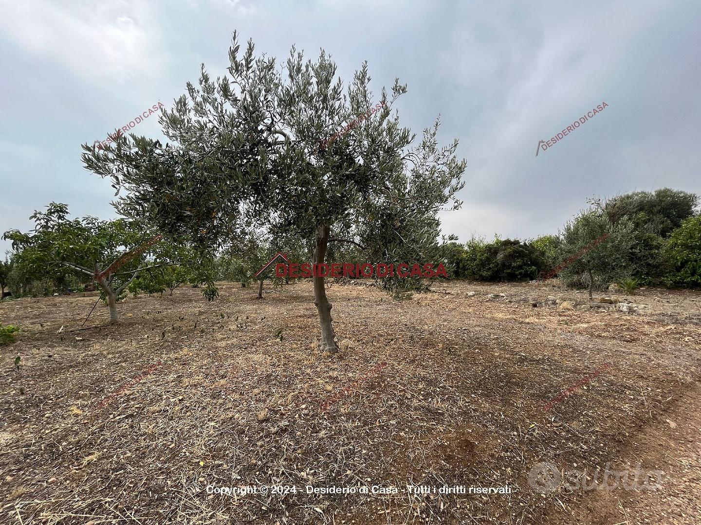 Terreno, Casteldaccia. - Vista 4
