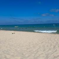 Case a schiera sardegna