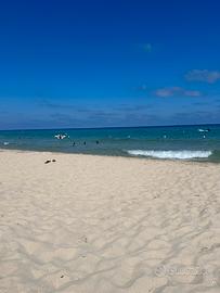 Case a schiera sardegna