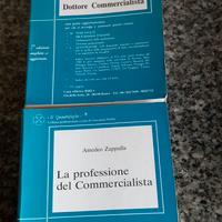 Amedeo Zappulla, La professione del commercialista