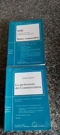 Amedeo Zappulla, La professione del commercialista