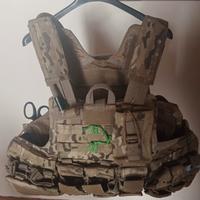 Plate carrier