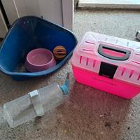 Accessori per il Coniglio