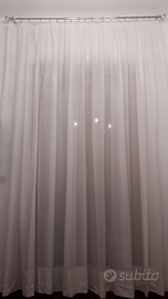 Tendoni bianchi cadí