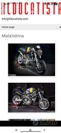 Ducati DS 1000