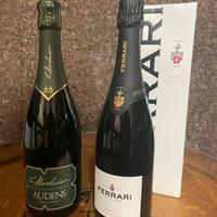Set due bottiglie sparkling bollicine