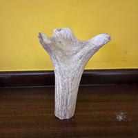 Snack per cani di diverse tipologie