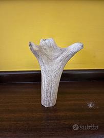 Snack per cani di diverse tipologie