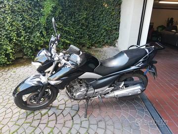 Motorcycle Marca Suzuki Suzuki Inazuma 250 Usata Suzuki Inazuma