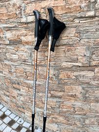 Racchette da nordikwalking