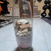 Vaso con sabbia e conchiglie 