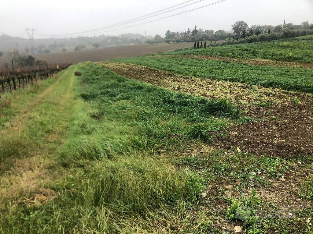 Terreno di 44000 m² a Rimini - Vista 4