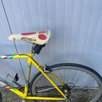 Bicicletta Wilier Triestina