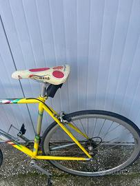 Bicicletta Wilier Triestina