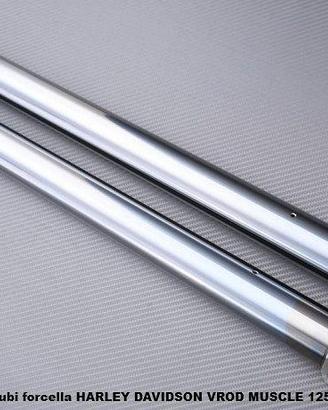 Tubi forcella HARLEY DAVIDSON VROD MUSCLE 1250