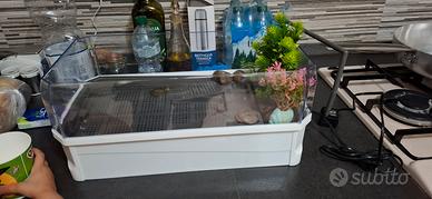 Vasca per tartarughe