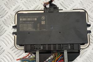 Modulo FRM III BMW Serie 5 F10 F11 Centralina Luci