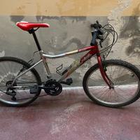 Bici mtb sovrano 24