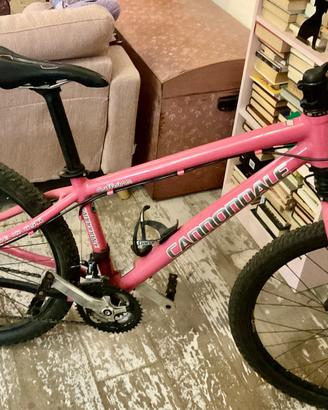 MTB CANNONDALE “CAFFEINE”-HANDMADE USA ( RUOTA 26’