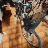 bici  elettrica italwin