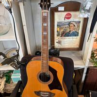 Chitarra Eko Rio Bravo 6 Vintage