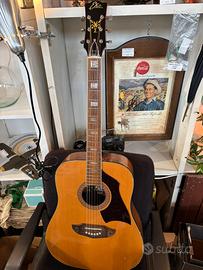 Chitarra Eko Rio Bravo 6 Vintage