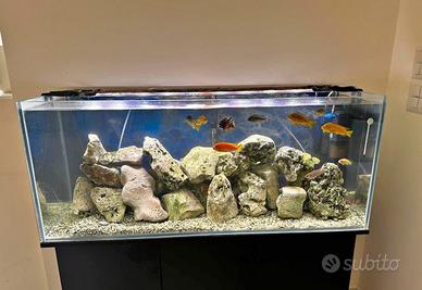 acquario 240 litri