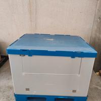 cassa pallet scomponibile in plastica