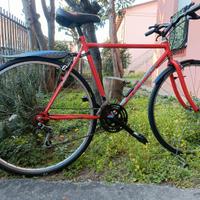 citybike Haros Italy 28" 18 v