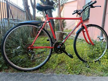 citybike Haros Italy 28" 18 v