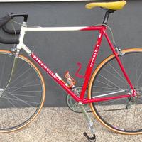 Pinarello Treviso 