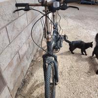bici elettrica