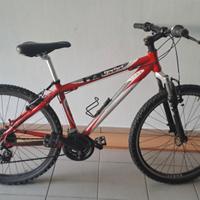 Mtb Hornet 24"