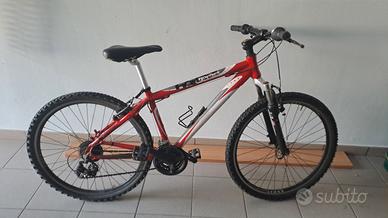 Mtb Hornet 24"