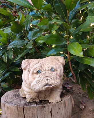 Statua in GESSO bulldog