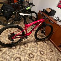 Trek supercaliber  taglia L