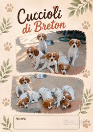 Breton