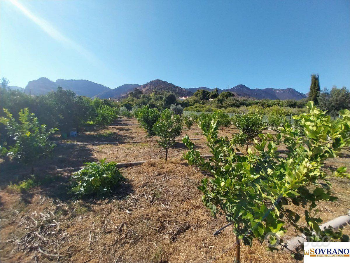 VILLAGRAZIA DI PALERMO: TERRENO MQ 1.600 - Altro